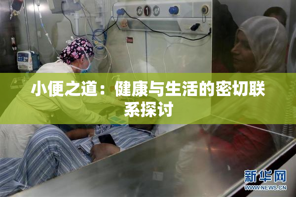 小便之道：健康与生活的密切联系探讨