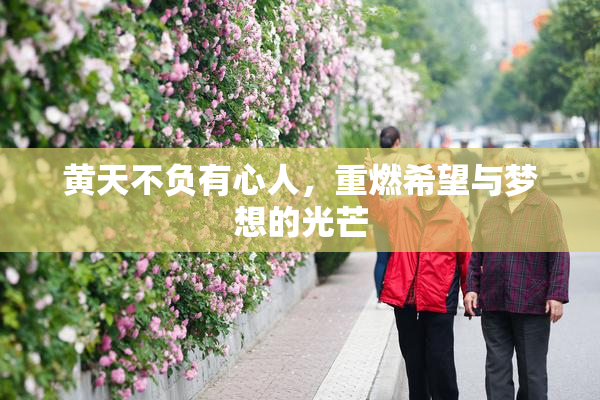 黄天不负有心人，重燃希望与梦想的光芒