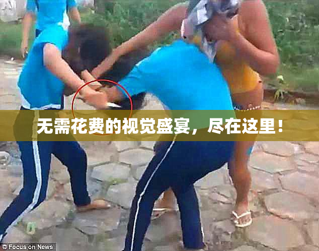 无需花费的视觉盛宴，尽在这里！
