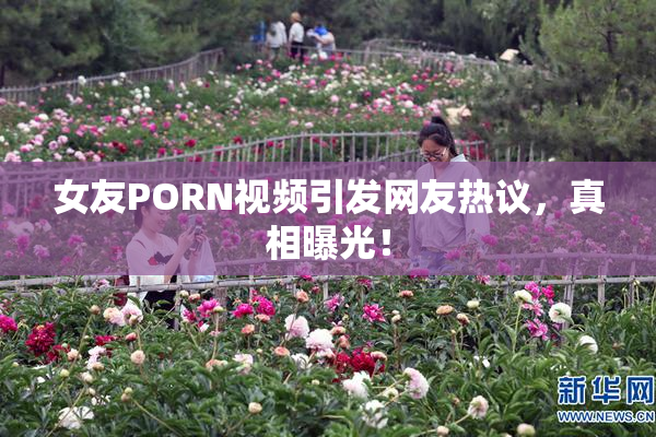 女友PORN视频引发网友热议，真相曝光！