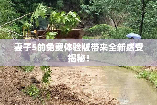 妻子5的免费体验版带来全新感受揭秘！
