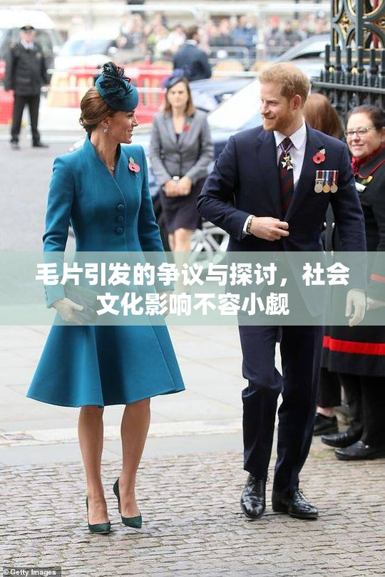 毛片引发的争议与探讨，社会文化影响不容小觑