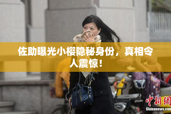 佐助曝光小樱隐秘身份，真相令人震惊！