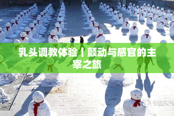 乳头调教体验丨颤动与感官的主宰之旅
