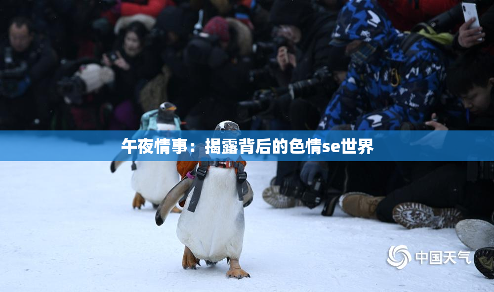 午夜情事：揭露背后的色情se世界