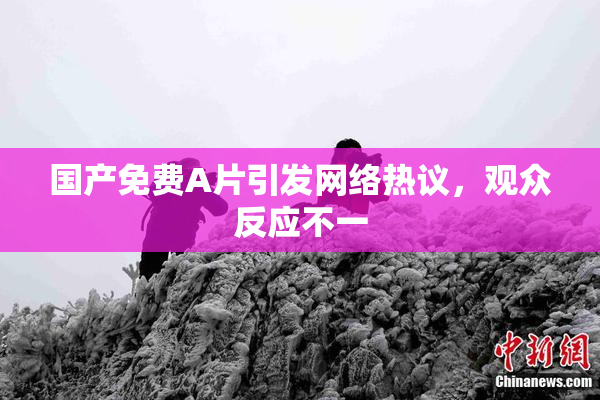 国产免费A片引发网络热议，观众反应不一