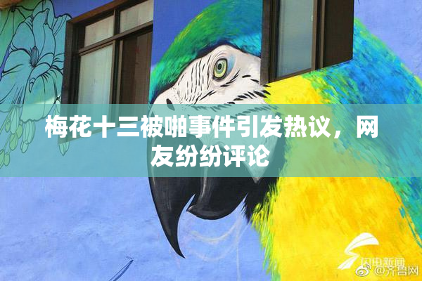 梅花十三被啪事件引发热议，网友纷纷评论