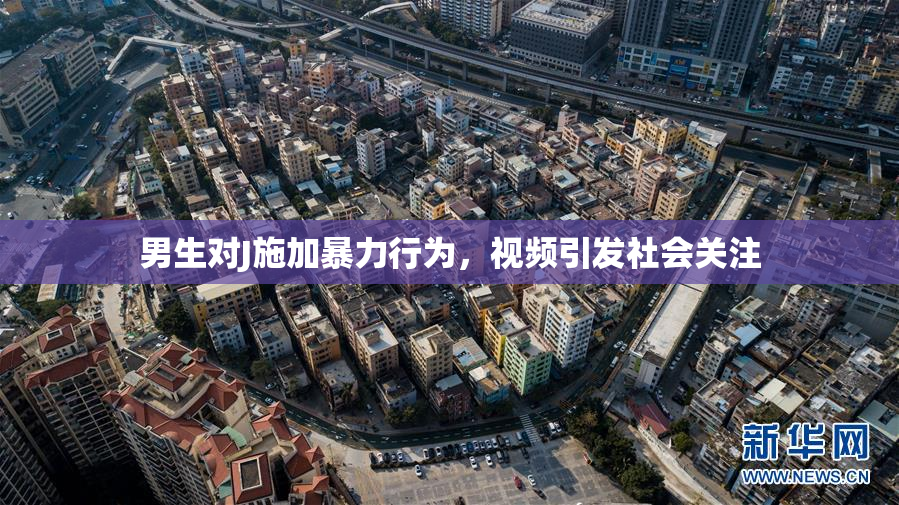 男生对J施加暴力行为，视频引发社会关注