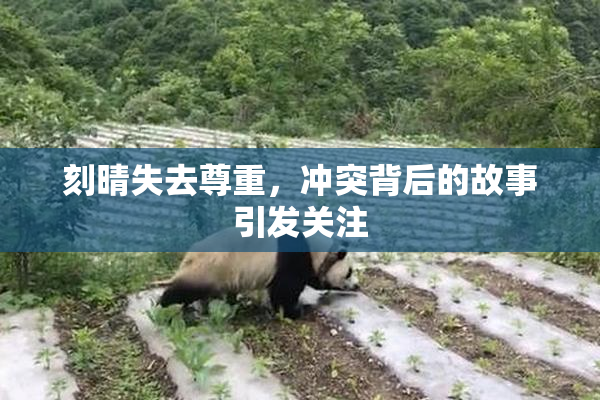 刻晴失去尊重，冲突背后的故事引发关注