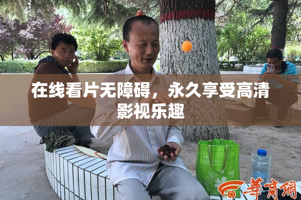 在线看片无障碍，永久享受高清影视乐趣