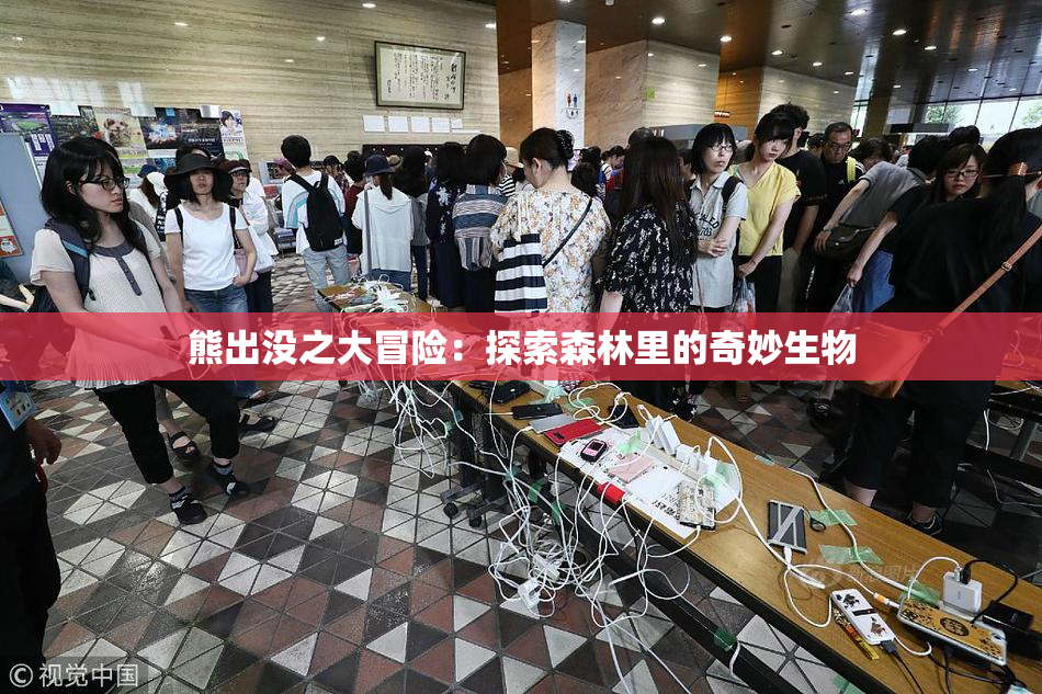 熊出没之大冒险：探索森林里的奇妙生物