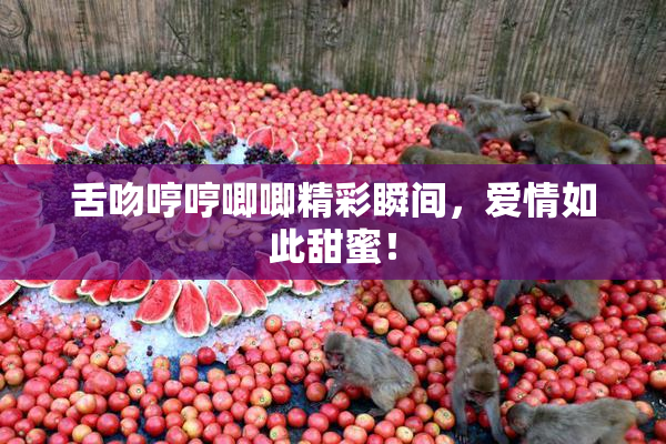 舌吻哼哼唧唧精彩瞬间，爱情如此甜蜜！