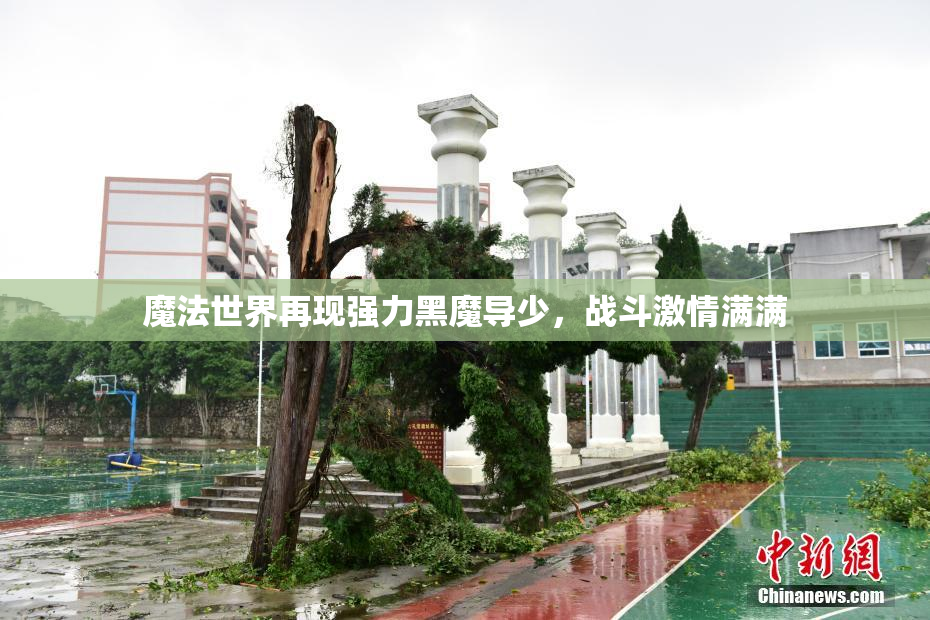 魔法世界再现强力黑魔导少，战斗激情满满