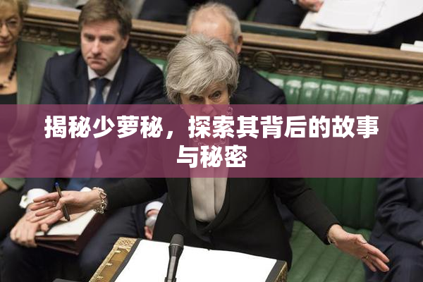 揭秘少萝秘，探索其背后的故事与秘密