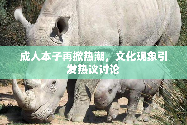成人本子再掀热潮，文化现象引发热议讨论