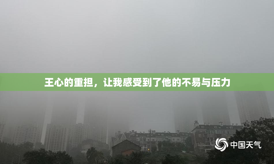 王心的重担，让我感受到了他的不易与压力