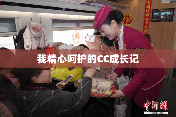 我精心呵护的CC成长记