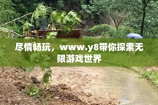 尽情畅玩，www.y8带你探索无限游戏世界