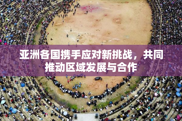 亚洲各国携手应对新挑战，共同推动区域发展与合作