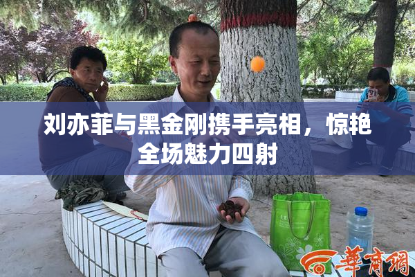 刘亦菲与黑金刚携手亮相，惊艳全场魅力四射