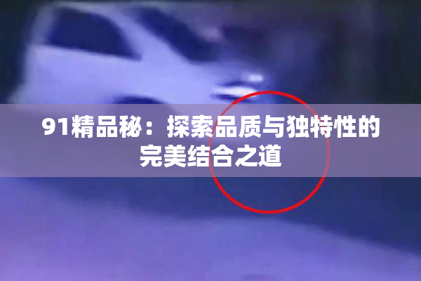 91精品秘：探索品质与独特性的完美结合之道