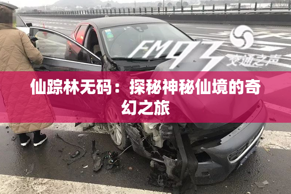 仙踪林无码：探秘神秘仙境的奇幻之旅