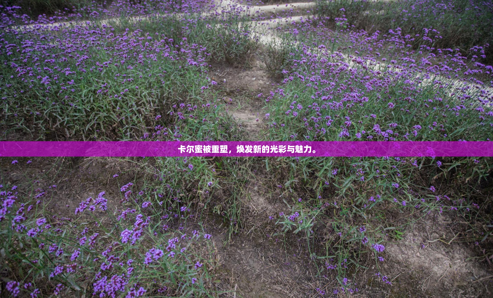 卡尔蜜被重塑，焕发新的光彩与魅力。