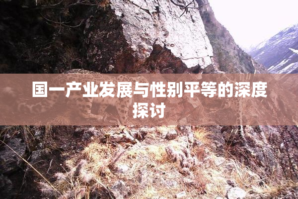 国一产业发展与性别平等的深度探讨