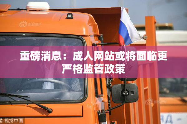 重磅消息：成人网站或将面临更严格监管政策