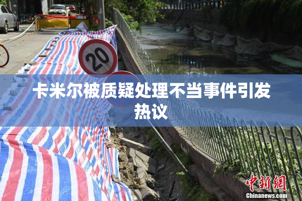 卡米尔被质疑处理不当事件引发热议