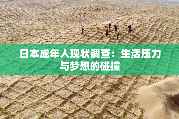 日本成年人现状调查：生活压力与梦想的碰撞