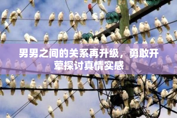 男男之间的关系再升级，勇敢开荤探讨真情实感