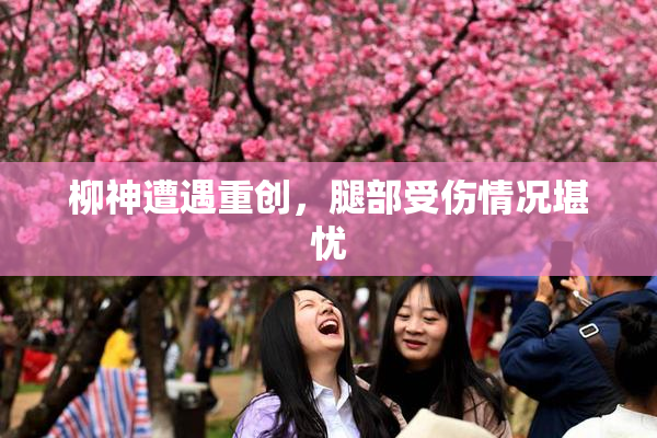 柳神遭遇重创，腿部受伤情况堪忧