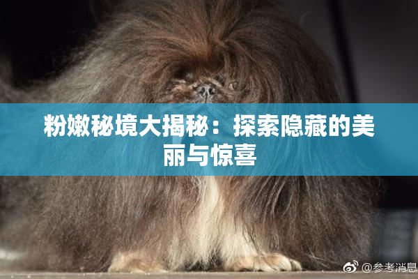 粉嫩秘境大揭秘：探索隐藏的美丽与惊喜