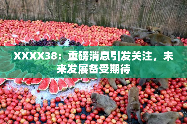 XXXX38：重磅消息引发关注，未来发展备受期待