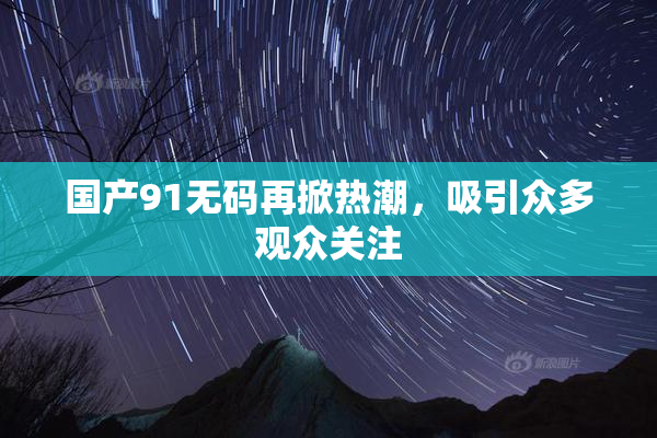 国产91无码再掀热潮，吸引众多观众关注