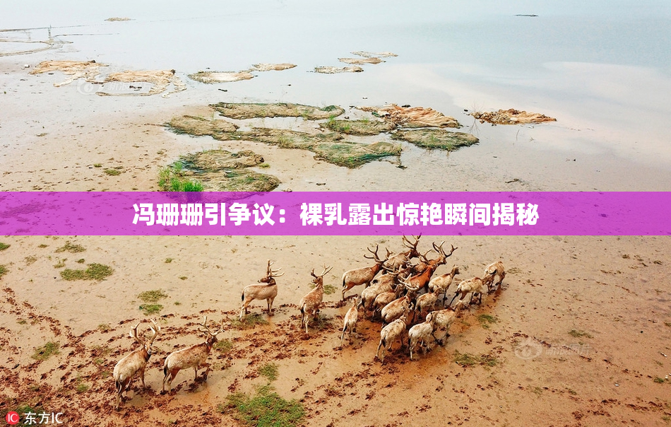 冯珊珊引争议：裸乳露出惊艳瞬间揭秘