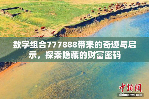 数字组合777888带来的奇迹与启示，探索隐藏的财富密码