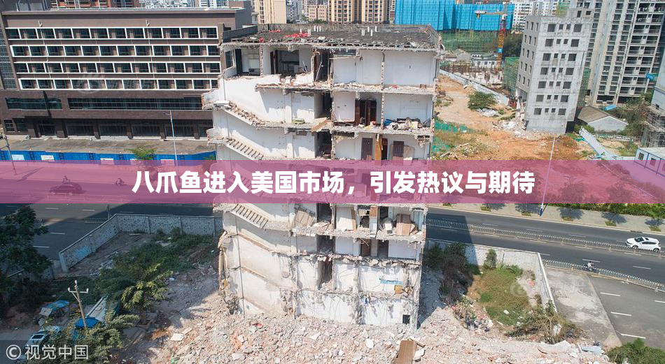八爪鱼进入美国市场，引发热议与期待