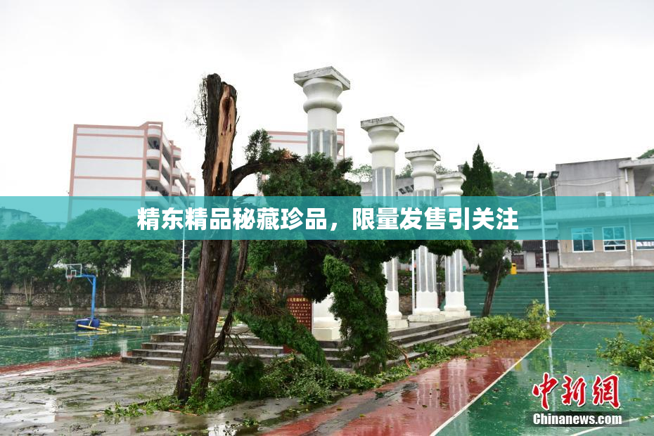 精东精品秘藏珍品，限量发售引关注