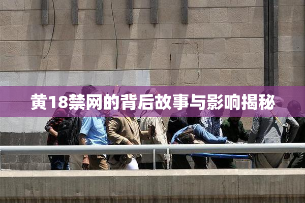 黄18禁网的背后故事与影响揭秘