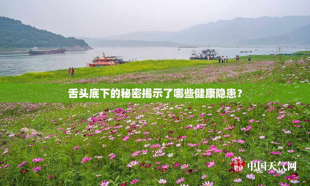 舌头底下的秘密揭示了哪些健康隐患？