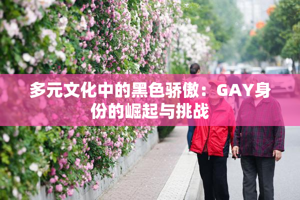 多元文化中的黑色骄傲：GAY身份的崛起与挑战