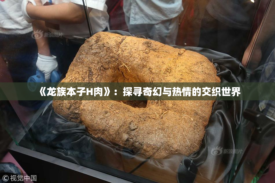 《龙族本子H肉》：探寻奇幻与热情的交织世界