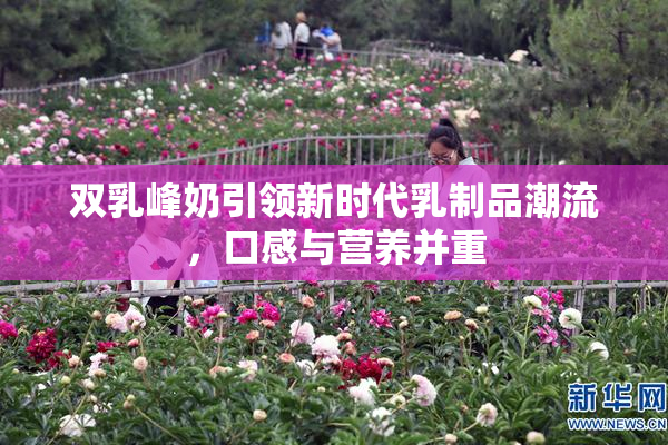 双乳峰奶引领新时代乳制品潮流，口感与营养并重