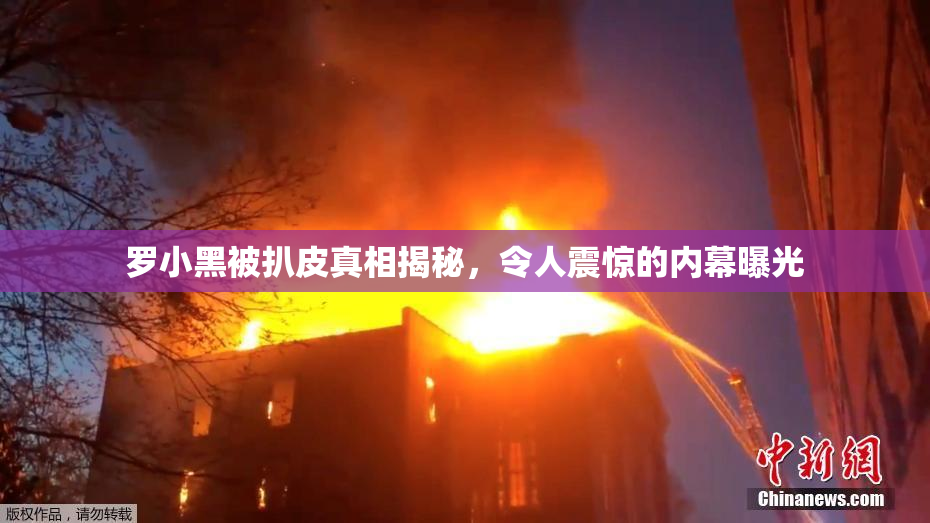 罗小黑被扒皮真相揭秘，令人震惊的内幕曝光