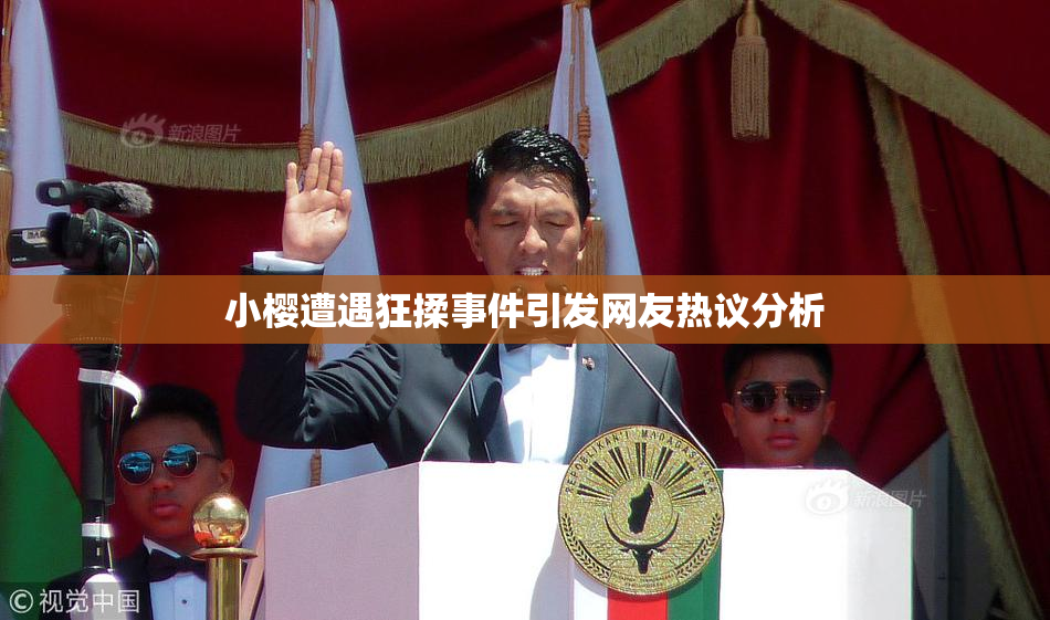 小樱遭遇狂揉事件引发网友热议分析