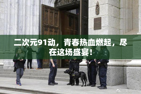 二次元91动，青春热血燃起，尽在这场盛宴！