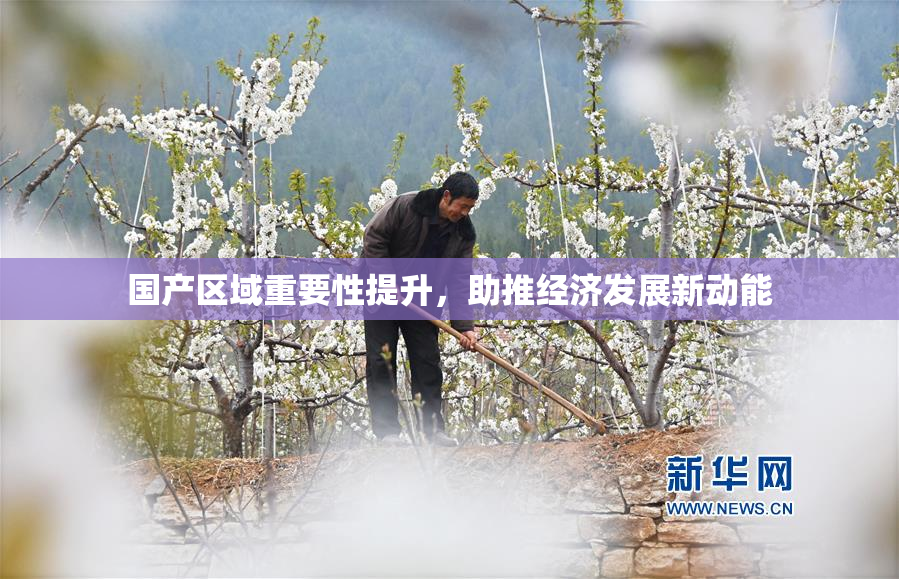 国产区域重要性提升，助推经济发展新动能