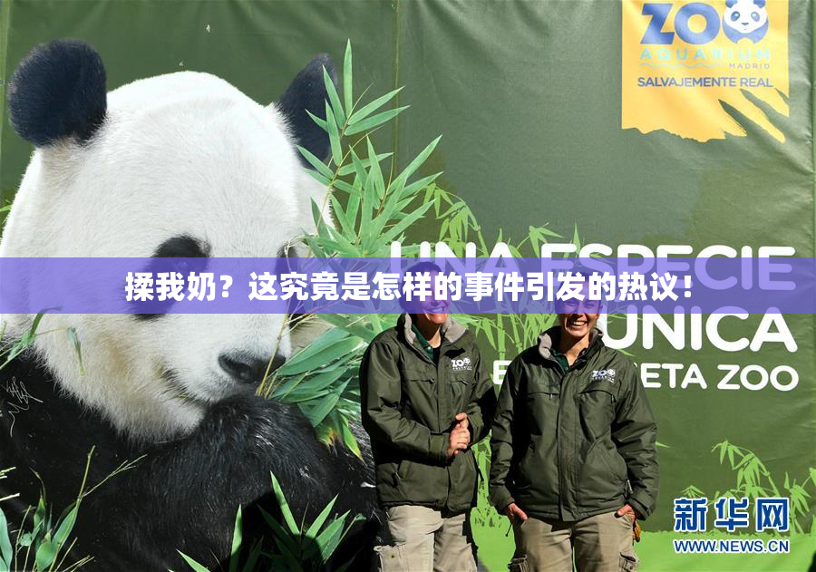 揉我奶？这究竟是怎样的事件引发的热议！